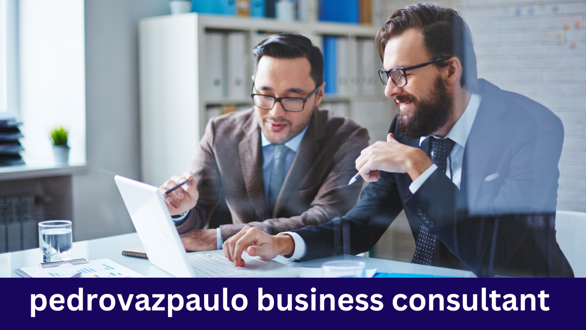 pedrovazpaulo business consultant